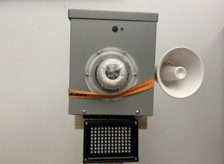project photo